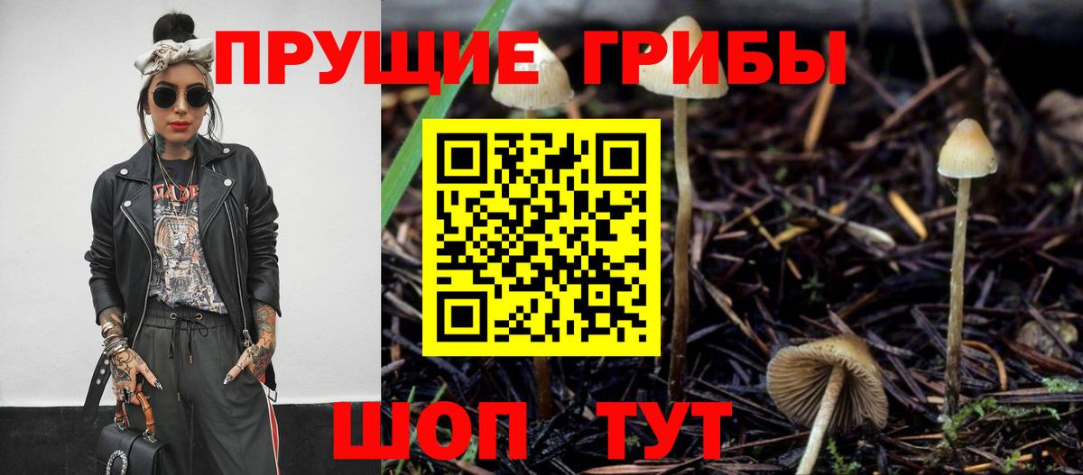 Псилоцибиновые грибы ЛСД  Вход с VPN  Краснодар 
